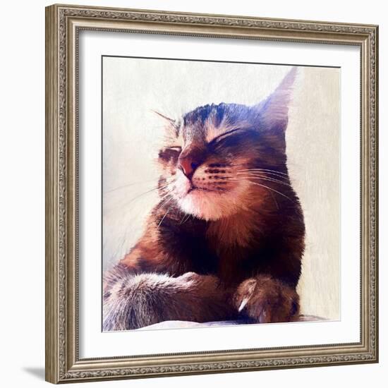 Cat That Got the Cream, 2018-Helen White-Framed Giclee Print