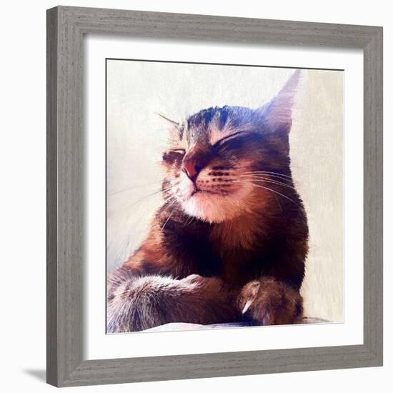 Cat That Got the Cream, 2018-Helen White-Framed Giclee Print