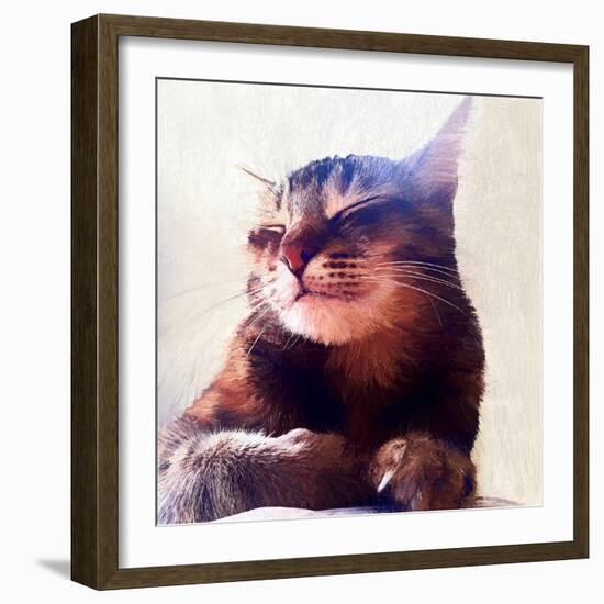 Cat That Got the Cream, 2018-Helen White-Framed Giclee Print