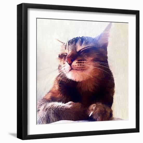 Cat That Got the Cream, 2018-Helen White-Framed Giclee Print