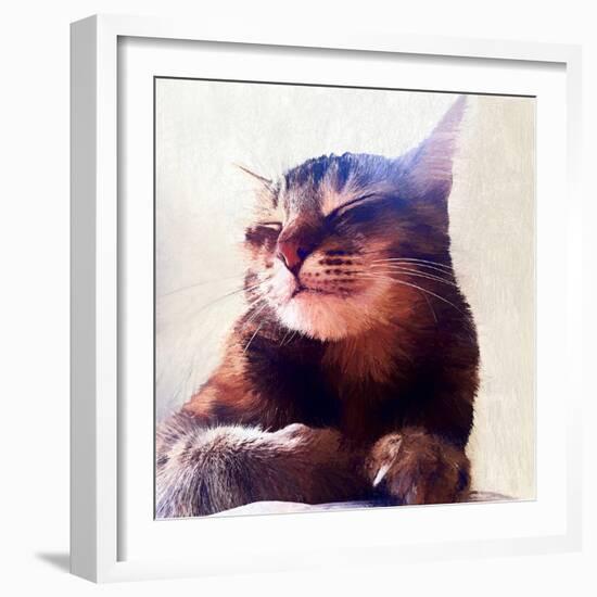 Cat That Got the Cream, 2018-Helen White-Framed Giclee Print