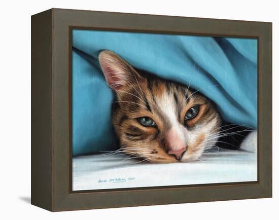 Cat under Blacket-Sarah Stribbling-Framed Stretched Canvas