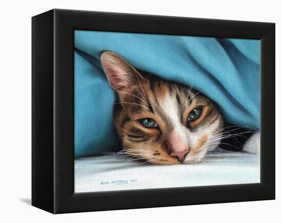 Cat under Blacket-Sarah Stribbling-Framed Stretched Canvas