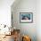 Cat under Blacket-Sarah Stribbling-Framed Art Print displayed on a wall