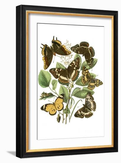 Cat Versus Goldfish-Théophile Alexandre Steinlen-Framed Art Print
