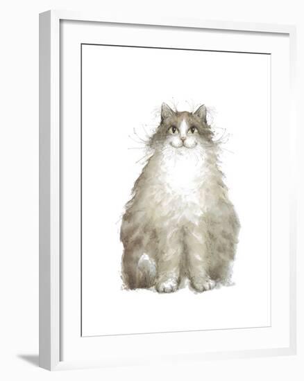 Cat VII-Judy Rossouw-Framed Giclee Print