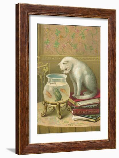 Cat Watching Frog and Fish-null-Framed Art Print