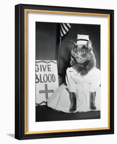 Cat Wearing Nurse Uniform-null-Framed Photographic Print