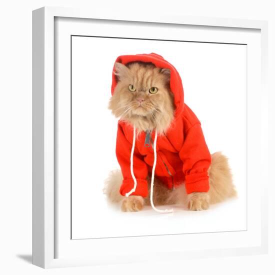 Cat Wearing Red Coat-Willee Cole-Framed Photographic Print
