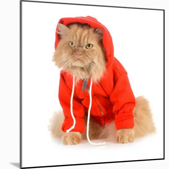 Cat Wearing Red Coat-Willee Cole-Mounted Photographic Print