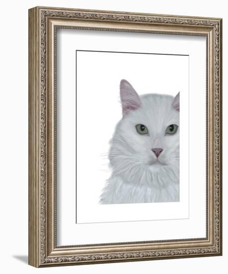 Cat, White Portrait on White-Fab Funky-Framed Art Print