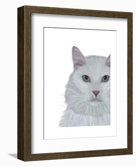 Cat, White Portrait on White-Fab Funky-Framed Art Print