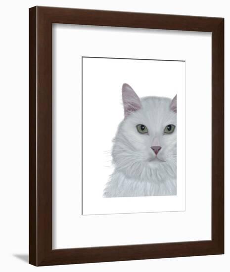 Cat, White Portrait on White-Fab Funky-Framed Art Print