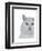 Cat, White Portrait on White-Fab Funky-Framed Art Print