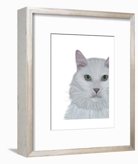 Cat, White Portrait on White-Fab Funky-Framed Art Print