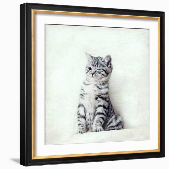 Cat Winks-Nadia Attura-Framed Photographic Print