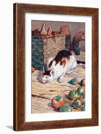 Cat with Apples-Randolph Caldecott-Framed Art Print