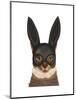 Cat with Bunny Mask-Fab Funky-Mounted Art Print