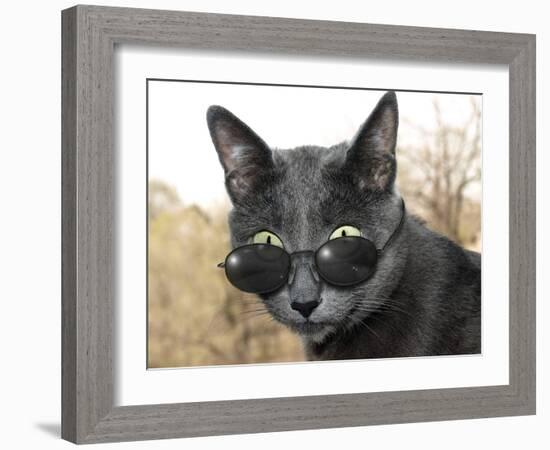 Cat With Glasses-Veniamin Kraskov-Framed Photographic Print