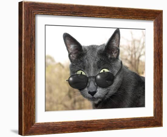 Cat With Glasses-Veniamin Kraskov-Framed Photographic Print