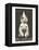 Cat with Pointed Hat, Court Jester-null-Framed Stretched Canvas