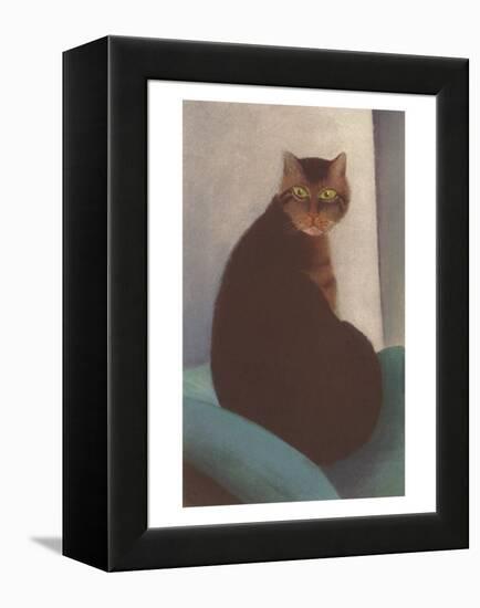 Cat with Small Head-null-Framed Stretched Canvas