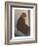 Cat with Small Head-null-Framed Art Print