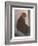 Cat with Small Head-null-Framed Art Print