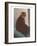 Cat with Small Head-null-Framed Art Print