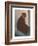 Cat with Small Head-null-Framed Art Print