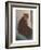 Cat with Small Head-null-Framed Art Print