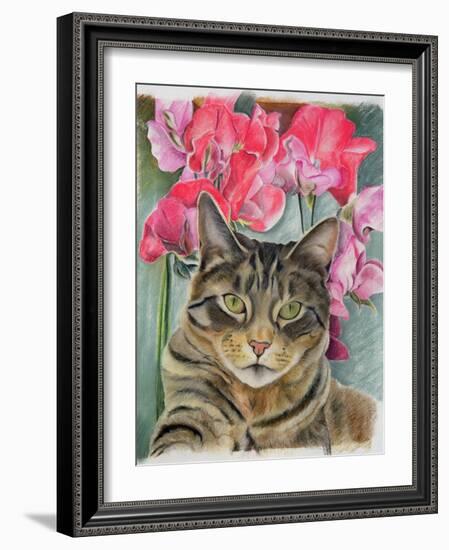 Cat with Sweet Peas-Anne Robinson-Framed Giclee Print