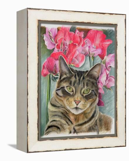 Cat with Sweet Peas-Anne Robinson-Framed Premier Image Canvas