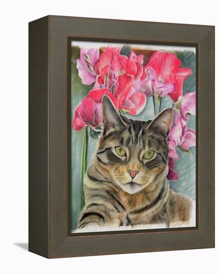 Cat with Sweet Peas-Anne Robinson-Framed Premier Image Canvas