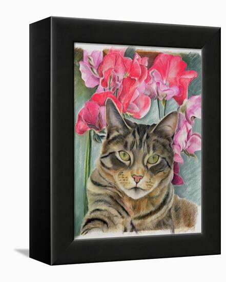 Cat with Sweet Peas-Anne Robinson-Framed Premier Image Canvas