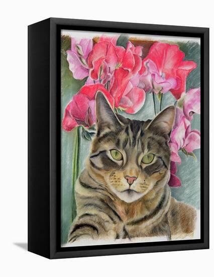 Cat with Sweet Peas-Anne Robinson-Framed Premier Image Canvas
