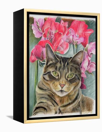 Cat with Sweet Peas-Anne Robinson-Framed Premier Image Canvas