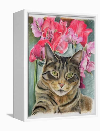 Cat with Sweet Peas-Anne Robinson-Framed Premier Image Canvas