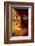 Cat Woman-Jim Warren-Framed Premium Giclee Print