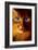 Cat Woman-Jim Warren-Framed Premium Giclee Print