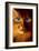 Cat Woman-Jim Warren-Framed Premium Giclee Print