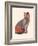 Cat Wrestler-Florent Bodart-Framed Giclee Print