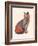 Cat Wrestler-Florent Bodart-Framed Giclee Print