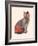 Cat Wrestler-Florent Bodart-Framed Giclee Print