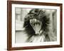 Cat Yawning-Bill Varie-Framed Photographic Print