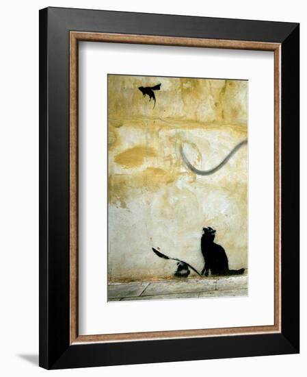 Cat-Banksy-Framed Giclee Print