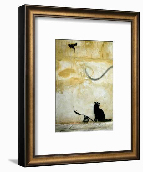 Cat-Banksy-Framed Giclee Print