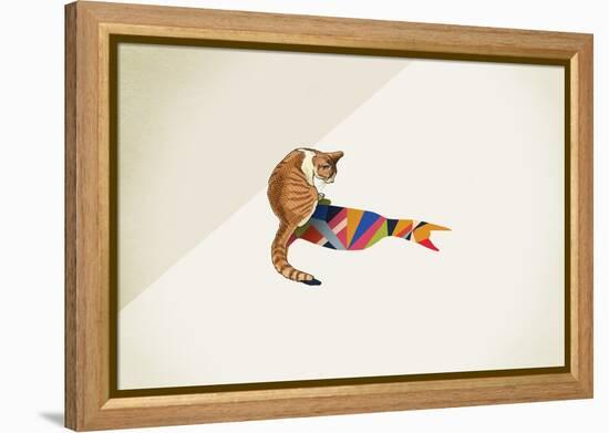 Cat-Jason Ratliff-Framed Premier Image Canvas