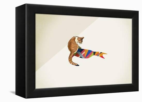 Cat-Jason Ratliff-Framed Premier Image Canvas