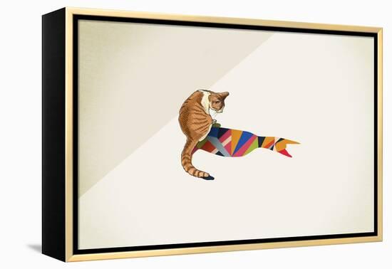 Cat-Jason Ratliff-Framed Premier Image Canvas